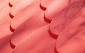 Hastingleigh plastic roof costs